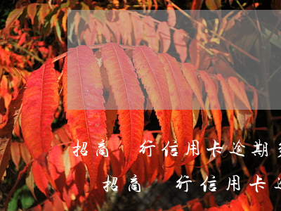 招商銀行信用卡逾期多長時(shí)間起訴(招商銀行 信用卡 逾期)