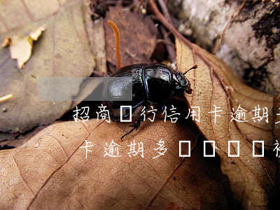 招商銀行信用卡逾期多長時間(招商銀行信用卡逾期多長時間會被凍結(jié))