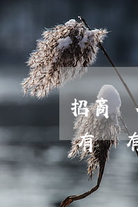 招商銀行信用卡逾期好不好協(xié)商(有沒有招商銀行信用卡逾期的)