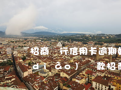招商銀行信用卡逾期如何協(xié)調(diào)還款(招商銀行的信用卡逾期了,要全額還清嗎)