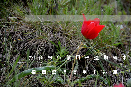 招商銀行信用卡逾期寄來(lái)律師函(招商銀行 信用卡 逾期)