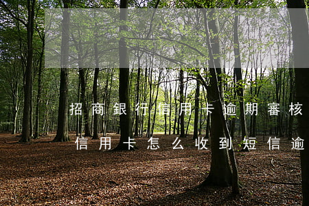 招商銀行信用卡逾期審核中(沒辦過招商銀行信用卡怎么收到短信逾期了)