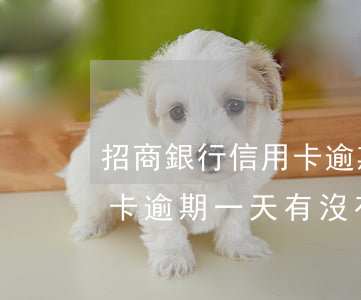 招商銀行信用卡逾期寬限幾天(招商銀行信用卡逾期一天有沒有影響?)