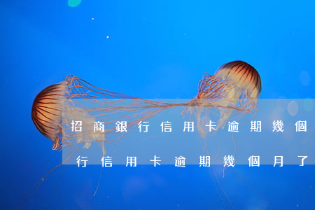 招商銀行信用卡逾期幾個月了沒還-招商銀行信用卡逾期幾個月了沒還怎么辦