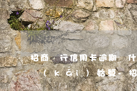 招商銀行信用卡逾期從什么時(shí)候開(kāi)始算-招商銀行信用卡逾期從什么時(shí)候開(kāi)始算起