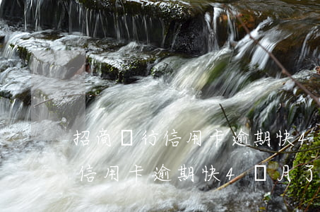 招商銀行信用卡逾期快4個月了-招商銀行信用卡逾期快4個月了怎么辦