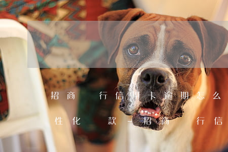 招商銀行信用卡逾期怎么協(xié)商個性化還款-招商銀行信用卡逾期怎么協(xié)商個性化還款的