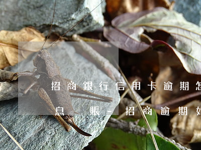 招商銀行信用卡逾期怎么協(xié)商停息掛賬-招商逾期如何協(xié)商