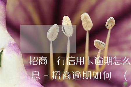 招商銀行信用卡逾期怎么協(xié)商免息-招商逾期如何協(xié)商