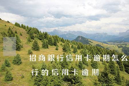 招商銀行信用卡逾期怎么才會立案-招商銀行的信用卡逾期