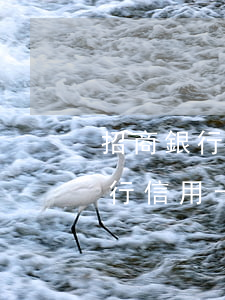 招商銀行信用卡逾期怎么算滯納金-招商銀行信用卡逾期怎么算滯納金的