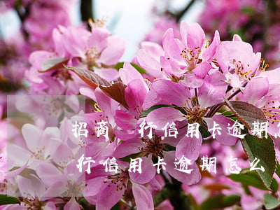 招商銀行信用卡逾期怎么還款最劃算（招商銀行信用卡逾期怎么還款）