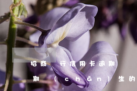 招商銀行信用卡逾期懲罰(招商銀行信用卡逾期產(chǎn)生的罰息可以減免嗎)