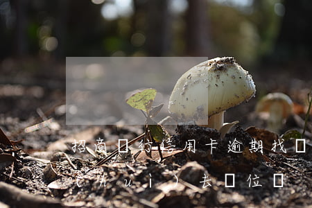 招商銀行信用卡逾期找單位(招行辦信用卡會(huì)去單位嗎)