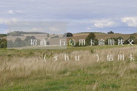 招商銀行信用卡逾期找父母了(招商銀行短信說(shuō)信用卡逾期)