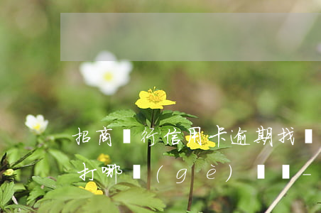 招商銀行信用卡逾期找銀行協(xié)商打哪個(gè)電話-招商銀行信用卡逾期找銀行協(xié)商打哪個(gè)電話投訴