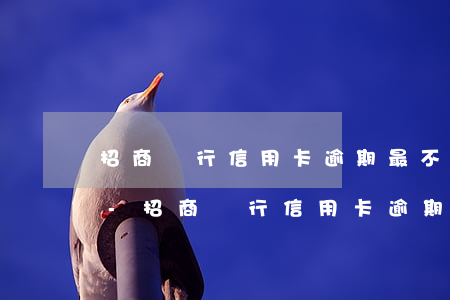招商銀行信用卡逾期最不好協(xié)商-招商銀行信用卡逾期最不好協(xié)商嗎