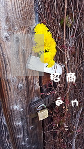 招商銀行信用卡逾期會(huì)上門(mén)催收 招商銀行上門(mén)催收對(duì)我的影響怎么處理