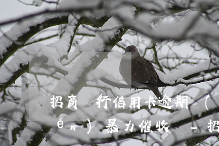 招商銀行信用卡逾期會(huì)上門(mén)暴力催收嗎-招商銀逾期會(huì)上門(mén)嗎?