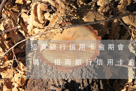 招商銀行信用卡逾期會(huì)停止使用嗎-招商銀行信用卡逾期會(huì)停止使用嗎