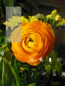 招商銀行信用卡逾期會(huì)發(fā)什么短信-招商銀行信用卡逾期會(huì)發(fā)什么短信通知