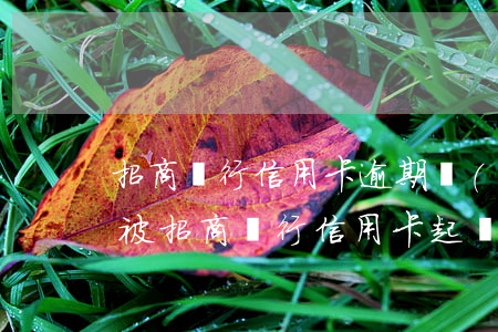 招商銀行信用卡逾期會(huì)被判刑嗎 被招商銀行信用卡起訴到法院一般會(huì)怎么判