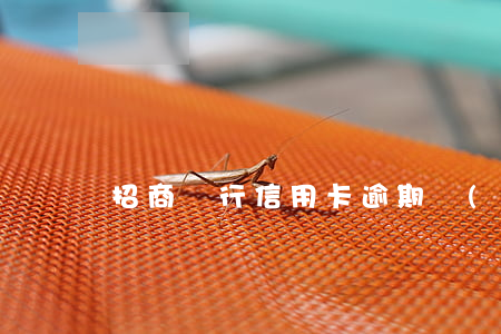招商銀行信用卡逾期會(huì)郵箱提醒