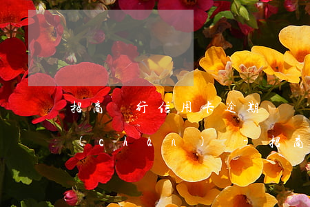 招商銀行信用卡逾期會凍結(jié)財產(chǎn)嗎-招商銀行信用卡逾期會凍結(jié)財產(chǎn)嗎知乎