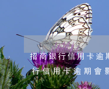 招商銀行信用卡逾期會影響記錄嗎-招商銀行信用卡逾期會影響記錄嗎知乎