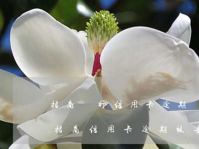 招商銀行信用卡逾期會收到傳票嗎-有沒有招商信用卡逾期被告上法庭的嗎