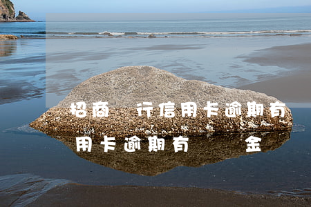 招商銀行信用卡逾期有滯納金嗎(招商銀行信用卡逾期有滯納金嗎)