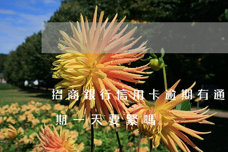 招商銀行信用卡逾期有通知(招商的信用卡逾期一天要緊嗎)