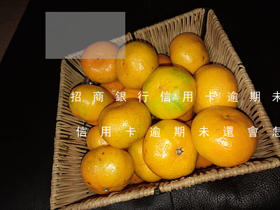 招商銀行信用卡逾期未還會怎樣-招商銀行信用卡逾期未還會怎樣處罰