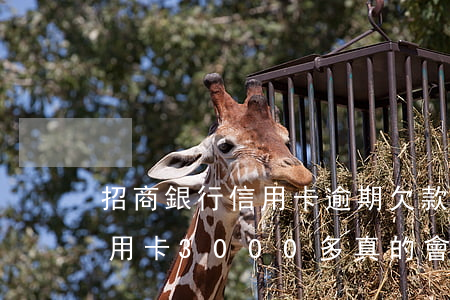 招商銀行信用卡逾期欠款8千(欠招商銀行信用卡3000多真的會(huì)被起訴)