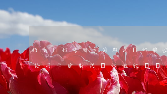 招商銀行信用卡逾期武漢的催收-招商銀行信用卡逾期武漢的催收電話