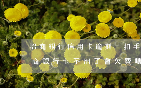 招商銀行信用卡逾期沒扣手續(xù)費(招商銀行卡不用了會欠費嗎)