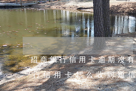 招商銀行信用卡逾期沒有記賬(沒辦過招商銀行信用卡怎么收到短信逾期了)
