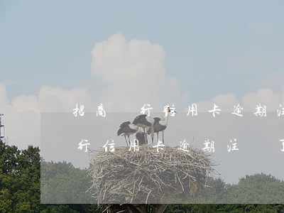 招商銀行信用卡逾期注銷了怎么辦-招商銀行信用卡逾期注銷了怎么辦呢
