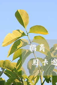 招商銀行信用卡逾期減免多少錢(招商銀行信用卡逾期減免多少錢違約金)