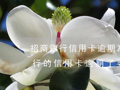 招商銀行信用卡逾期為什么先處理-招商銀行的信用卡逾期了,要全額還清嗎