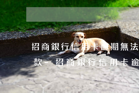 招商銀行信用卡逾期無法協(xié)商還款-招商銀行信用卡逾期無法協(xié)商還款怎么辦