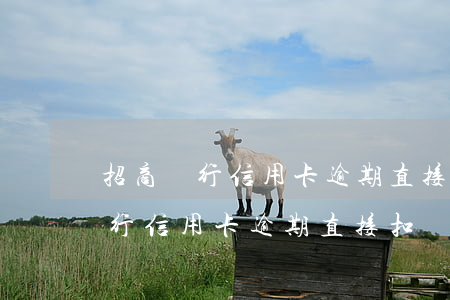 招商銀行信用卡逾期直接扣儲蓄卡-招商銀行信用卡逾期直接扣儲蓄卡的錢