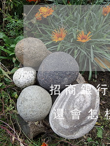 招商銀行信用卡逾期知乎(招行信用卡逾期不還會怎樣)