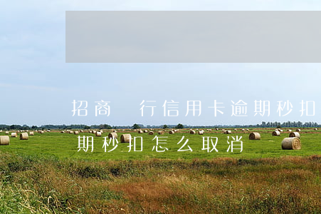 招商銀行信用卡逾期秒扣(招商銀行信用卡逾期秒扣怎么取消)