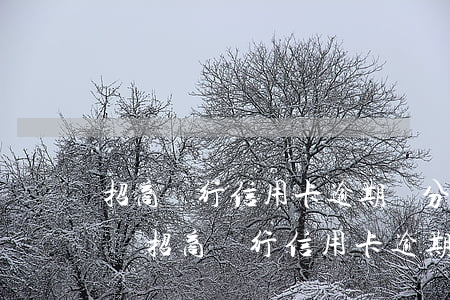招商銀行信用卡逾期積分會(huì)清零嗎（招商銀行信用卡逾期積分）
