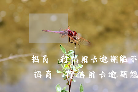 招商銀行信用卡逾期能不能協(xié)商(招商銀行信用卡逾期能不能協(xié)商還款)