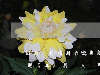 招商銀行信用卡逾期能借記卡嗎(招商銀行逾期了三個月還上還可以用卡嗎)