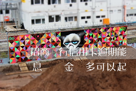 招商銀行信用卡逾期能減免利息(招商銀行利息違約金過多可以起訴減免不)
