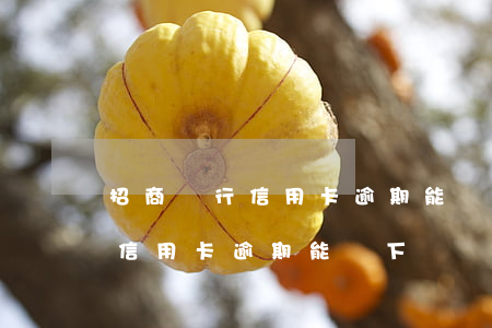 招商銀行信用卡逾期能辦下來嗎-招商銀行信用卡逾期能辦下來嗎現(xiàn)在