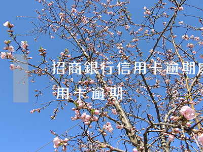 招商銀行信用卡逾期處理要多少天-招行 信用卡 逾期